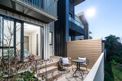 Photo of property in 27c Thompson Street, Mount Cook, Wellington, 6011