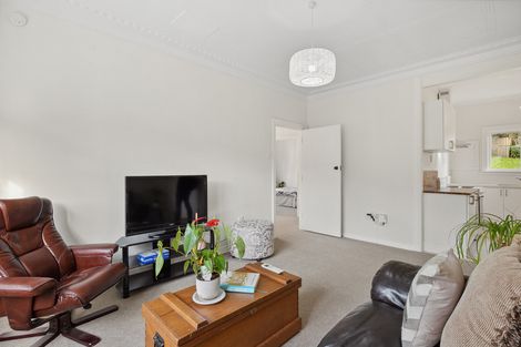 Photo of property in 24 Antrim Street, Normanby, Dunedin, 9010
