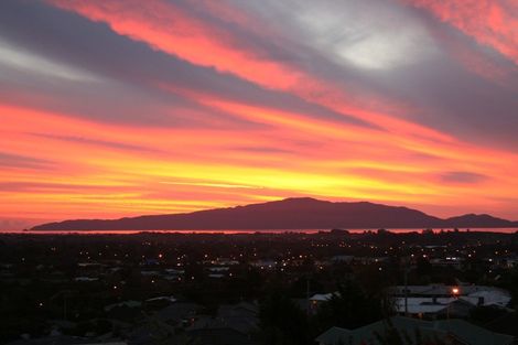 Photo of property in 77 Kakariki Grove, Waikanae, 5036