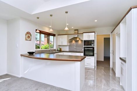 Photo of property in 42 Woodhurst Drive, Casebrook, Christchurch, 8051