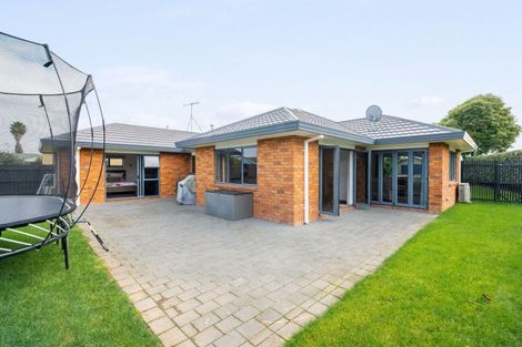 Photo of property in 6 Bellona Place, Flagstaff, Hamilton, 3210