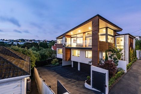 Photo of property in 18 Selkirk Street, Roslyn, Dunedin, 9010