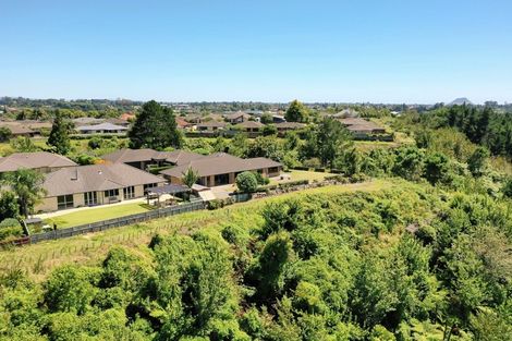 Photo of property in 38 Kereru Place, Pyes Pa, Tauranga, 3112