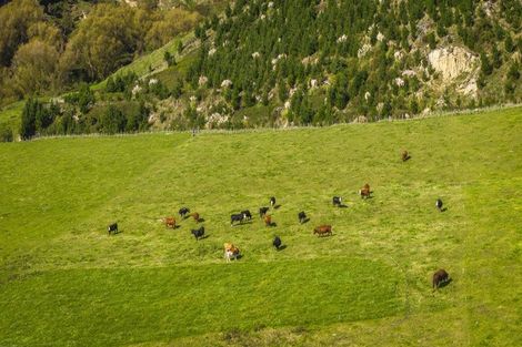 Photo of property in 888 Kakariki Farm Road, Kotemaori, 4188