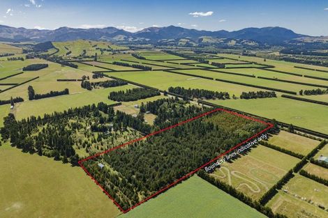 Photo of property in 337 Foothills Road, Okuku, Rangiora, 7473