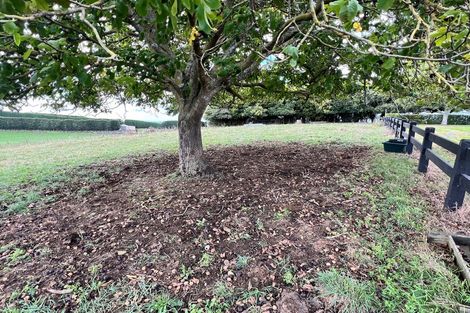 Photo of property in 40 Budden Road, Pokuru, Te Awamutu, 3875