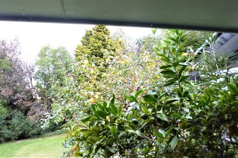 Photo of property in 27b Studholme Street, Somerfield, Christchurch, 8024