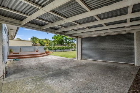 Photo of property in 22 Snowdon Avenue, Terrace End, Palmerston North, 4410