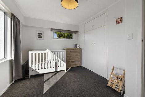 Photo of property in 135 Brecon Road, Stratford, 4332