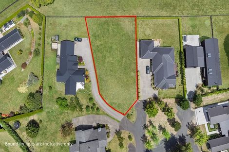 Photo of property in 7 Danehill Close, Matamata, 3400