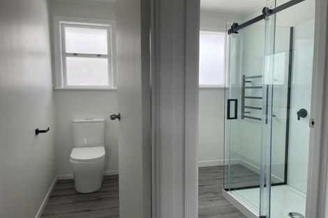 Photo of property in 702a Dennett Street, Mahora, Hastings, 4120
