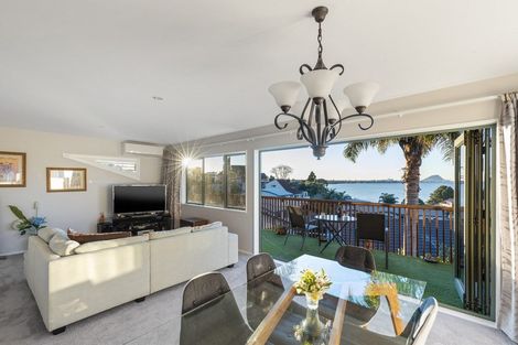 Photo of property in 202 Maungatapu Road, Maungatapu, Tauranga, 3112