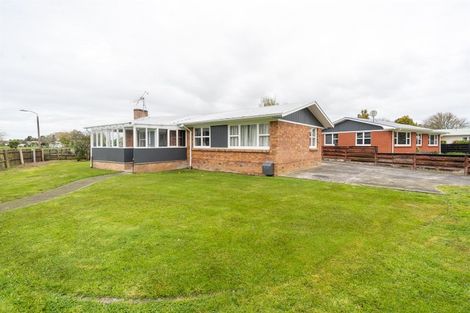 Photo of property in 6 Maple Avenue, Dinsdale, Hamilton, 3204