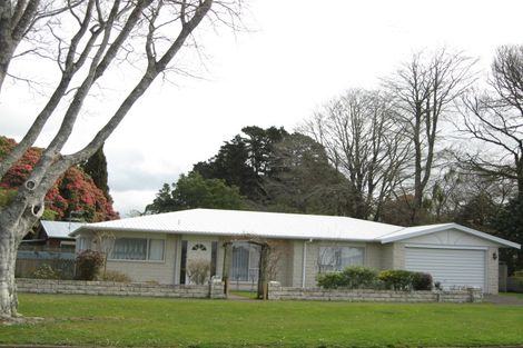 Photo of property in 99 Hamlet Street, Stratford, 4332