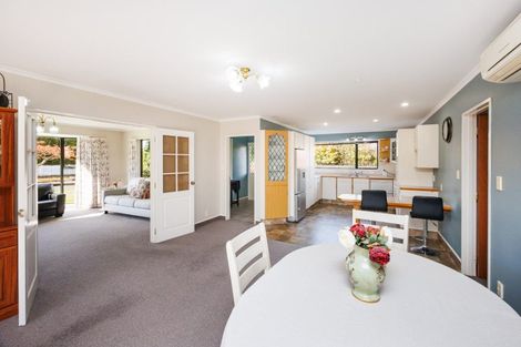 Photo of property in 4 Tudor Grove, Feilding, 4702