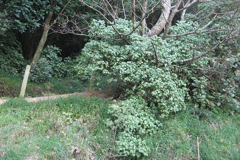 Photo of property in 67 Ngaio Gorge Road, Ngaio, Wellington, 6035
