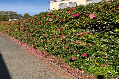 Photo of property in 7b May Street, Hamilton East, Hamilton, 3216