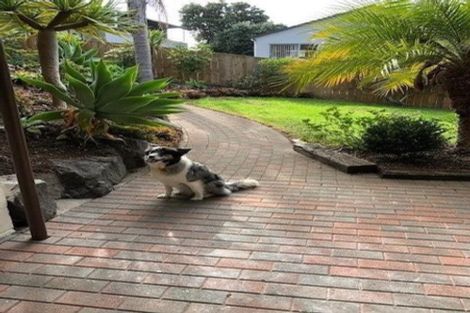 Photo of property in 26 Arran Road, Browns Bay, Auckland, 0630