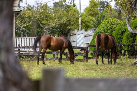 Photo of property in 93 Escott Road, Dairy Flat, Albany, 0794