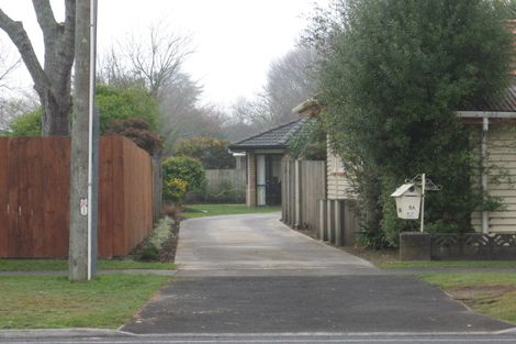 Photo of property in 8a Galloway Street, Hamilton East, Hamilton, 3216