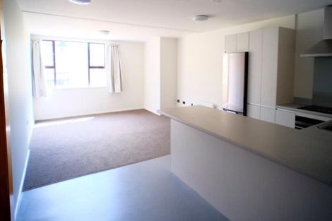 Photo of property in Te Awhina Apartments, 22u9 Sussex Street, Mount Cook, Wellington, 6021
