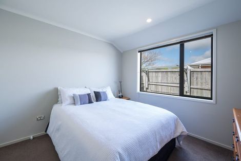 Photo of property in 17 Harriet Court, Richmond, 7020