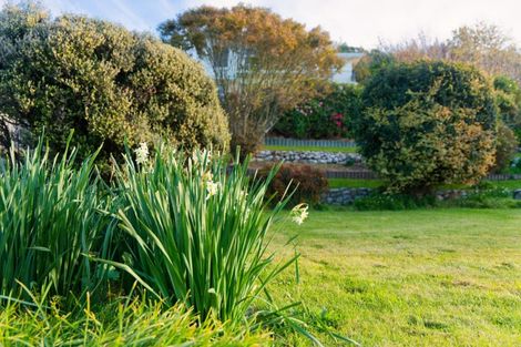 Photo of property in 282 Scarborough Street, Kaikoura, 7300