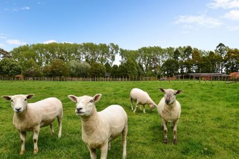 Photo of property in 25 Kew Place, Tamahere, Hamilton, 3283