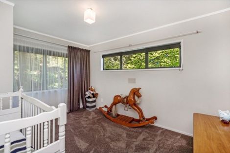 Photo of property in 19 Newcastle Road, Dinsdale, Hamilton, 3204