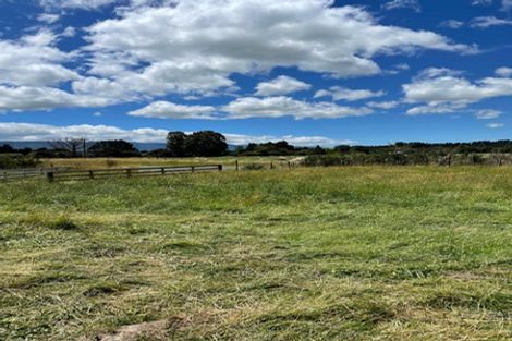 Photo of property in 147 Kiritaki Road, Dannevirke, 4972