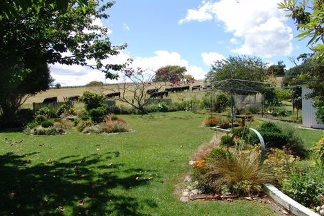 Photo of property in 558 Picquet Hill Road, Te Awamutu, 3800
