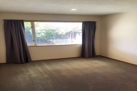 Photo of property in 9 Isabella Place, Waltham, Christchurch, 8011