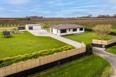 Photo of property in 64 Thompson Road, Twyford, Hastings, 4175