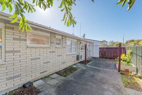 Photo of property in 28b Wood Street, Takaro, Palmerston North, 4410