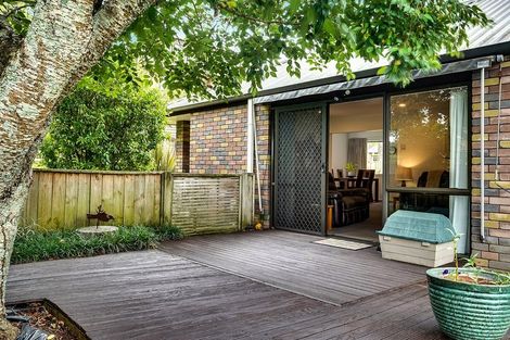 Photo of property in 49e Carey Street, Maeroa, Hamilton, 3200