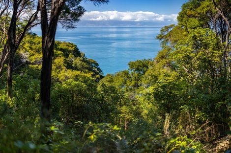 Photo of property in 180 Tokongawa Drive, Kaiteriteri, Motueka, 7197