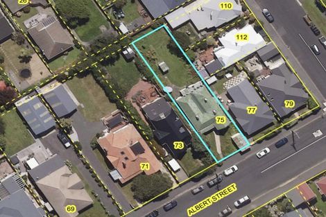 Photo of property in 75 Albert Street, Saint Clair, Dunedin, 9012
