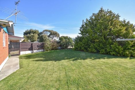 Photo of property in 67 Spencer Street, Andersons Bay, Dunedin, 9013