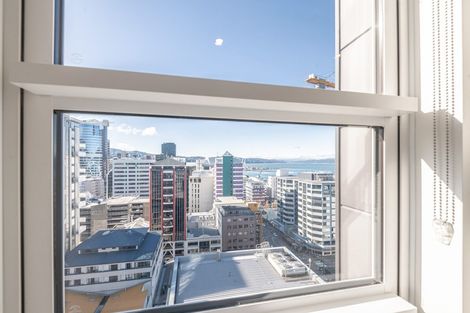 Photo of property in Pinnacle On Victoria, 160 Victoria Street, Te Aro, Wellington, 6011