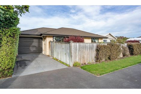 Photo of property in 1/50 Koromiko Street, Saint Martins, Christchurch, 8022