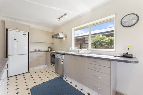 Photo of property in 38 Duke Street, Levin, 5510
