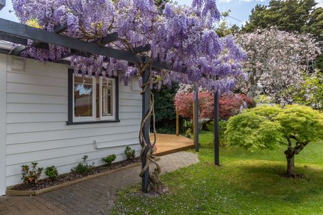 Photo of property in 6 Campbell Drive, Warkworth, 0910