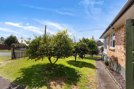 Photo of property in 17 Galway Crescent, Putaruru, 3411