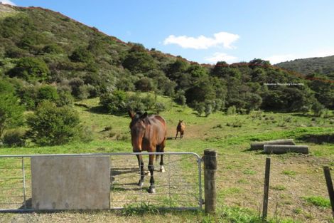 Photo of property in 2043 The 309 Road, Kaimarama, Whitianga, 3591