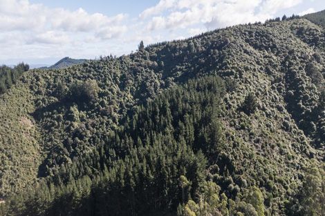 Photo of property in 967 Aniseed Valley Road, Aniseed Valley, Richmond, 7081