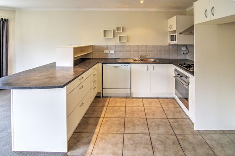 Photo of property in 11a Hogg Crescent, Masterton, 5810