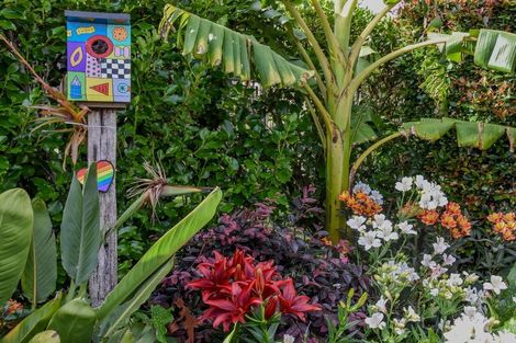 Photo of property in 4 Kuching Lane, Kerikeri, 0230