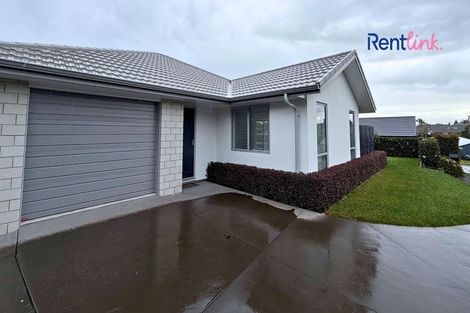 Photo of property in 12 Ruba Way, Ohauiti, Tauranga, 3112