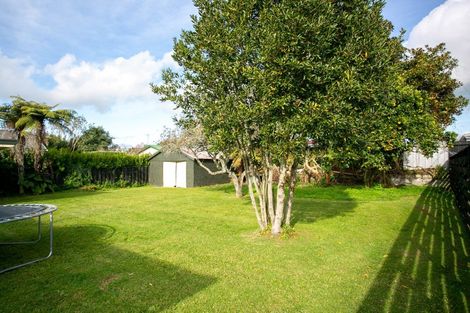 Photo of property in 38 Taylor Street, Cambridge, 3434