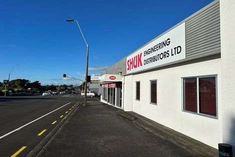Photo of property in 336 Devon Street West, New Plymouth, 4310